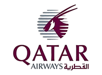 Airline logo